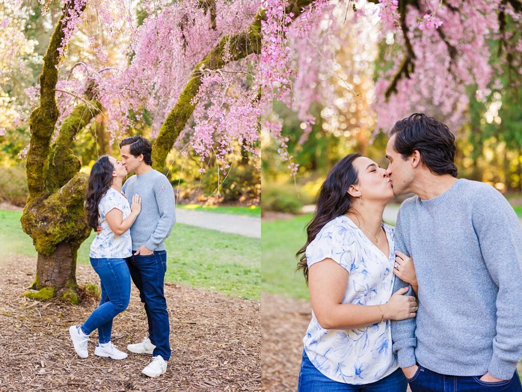 Seattle engagement photos at Washington Park Arboretum with cherry blossoms and couple embracing